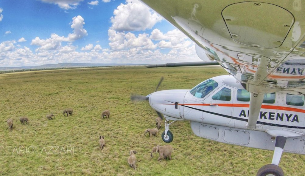 Bush Pilot Africa