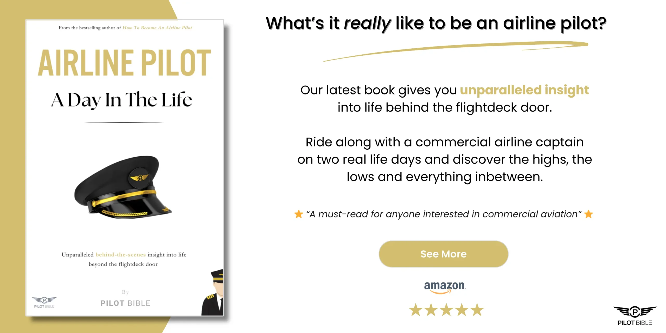 airline pilot book