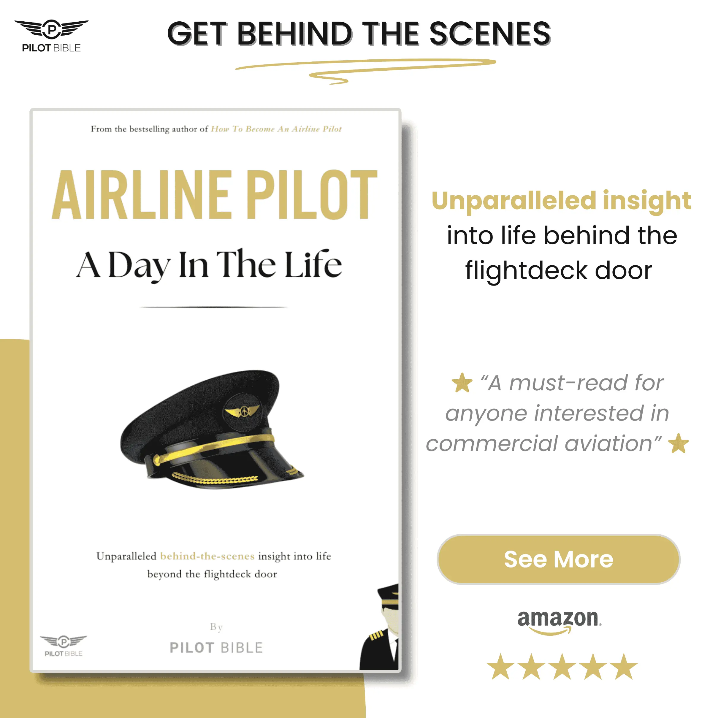 airline pilot book