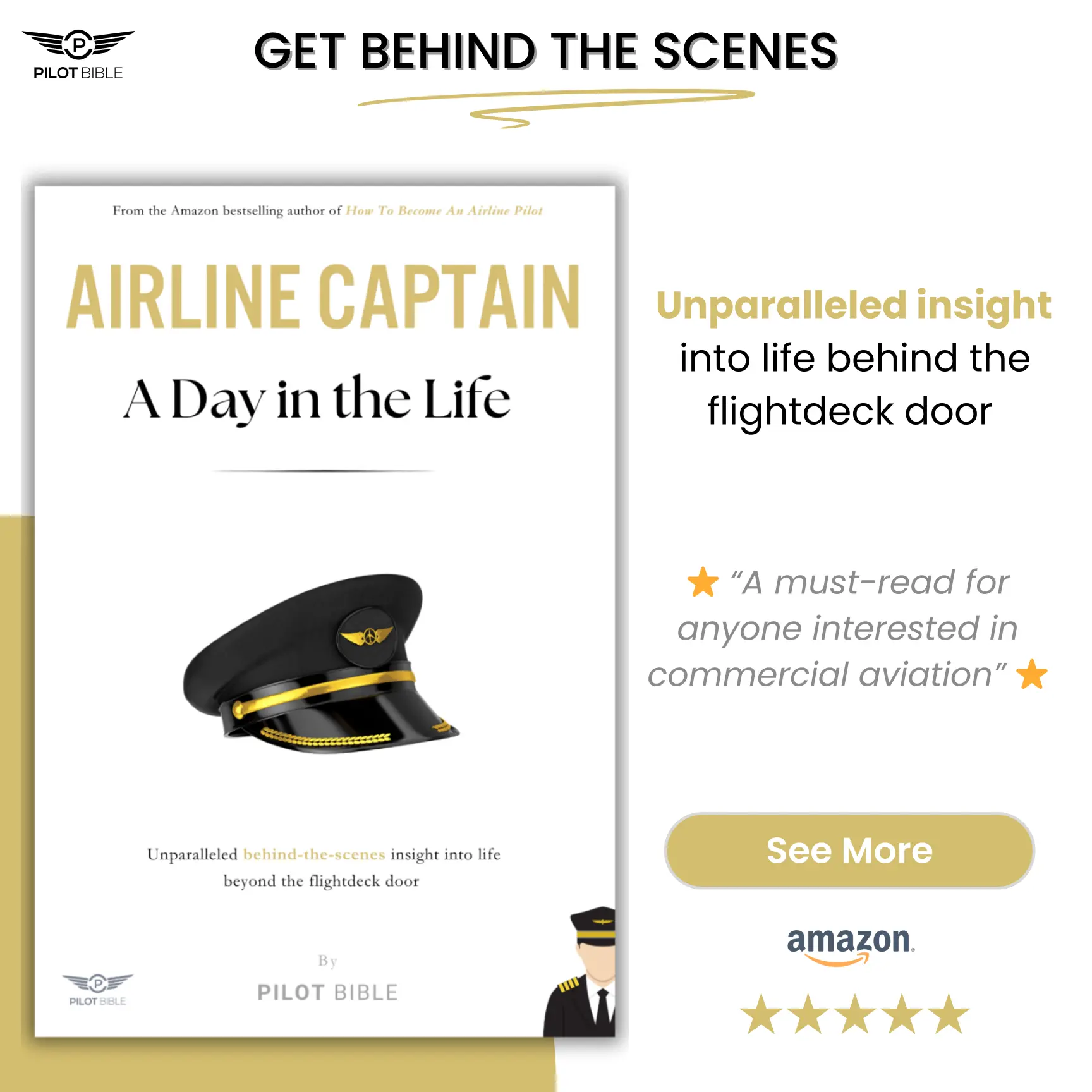 airline pilot book